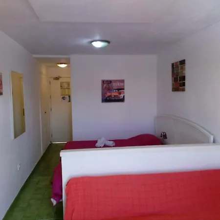 Happy Holidays In Apartamento
